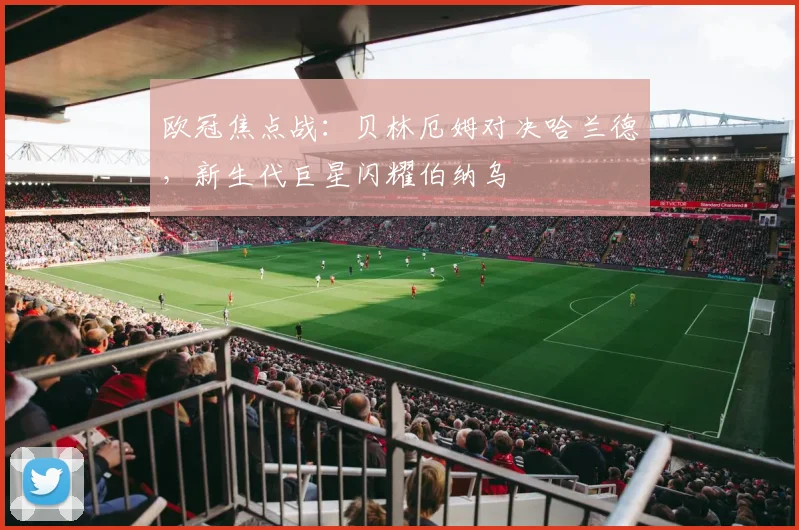 欧冠焦点战：贝林厄姆对决哈兰德，新生代巨星闪耀伯纳乌