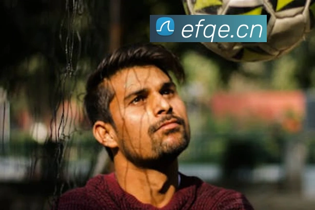 冠竞体育下载平台生态图